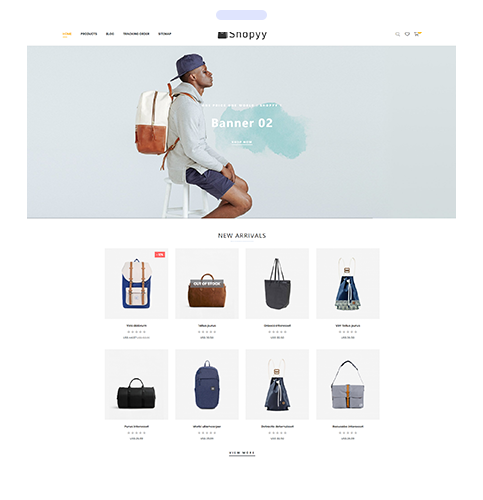 打造跨境電商獨立站點新生態(tài)：樂刷與shopyy攜手合作(圖2)